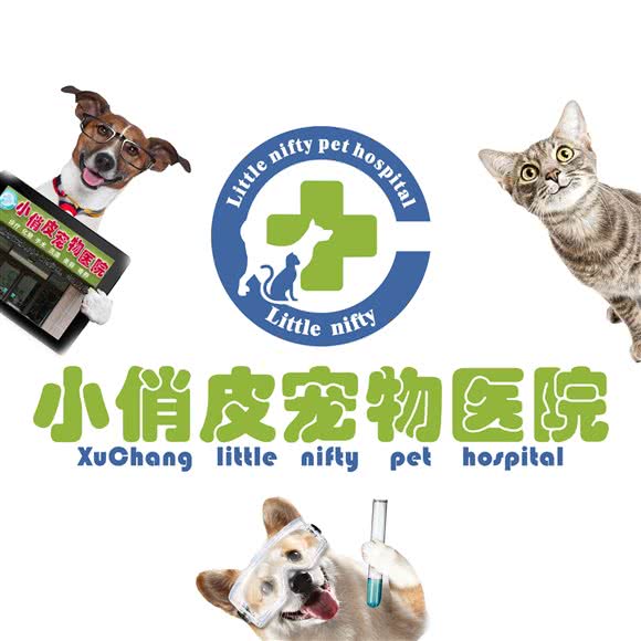 小俏皮宠物医院(南海街鹿鸣湖畔店):许昌市魏都区东城区附近