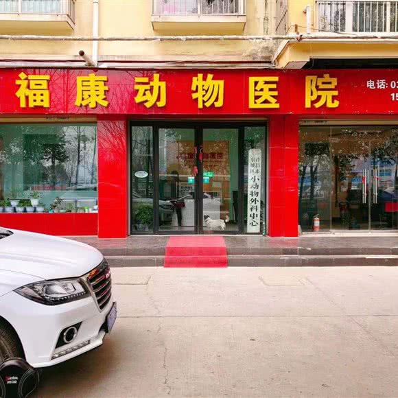 宠福康宠物医院:许昌市魏都区东城区附近