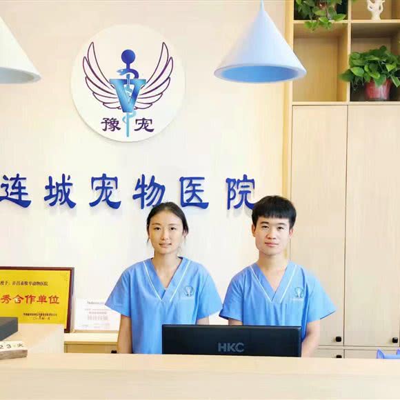 豫宠联城宠物医院:许昌市魏都区东城区附近