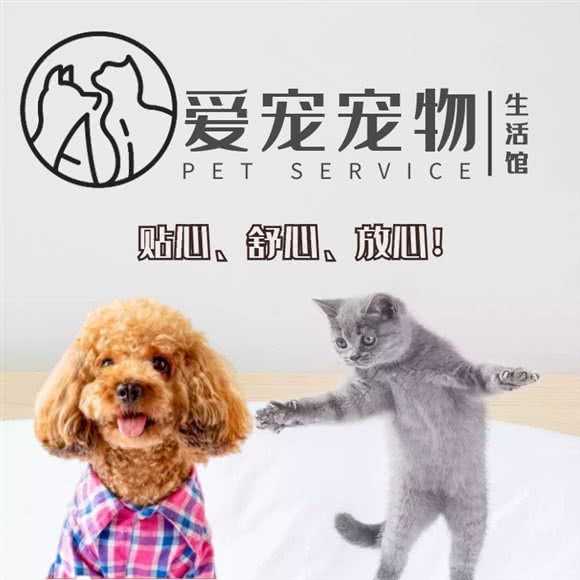 爱宠宠物生活馆:北京城区朝阳区劲松/潘家园附近