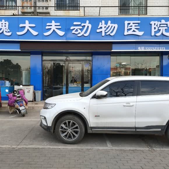 魏大夫动物医院:许昌市魏都区许继大道沿线附近