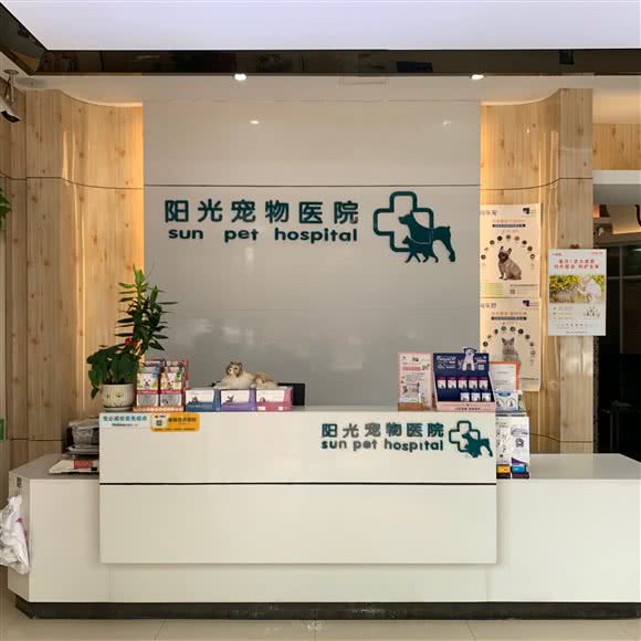 阳光宠物医院:许昌市魏都区文峰广场附近