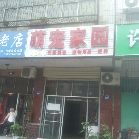 萌宠家园:许昌市魏都区新兴东路沿线附近