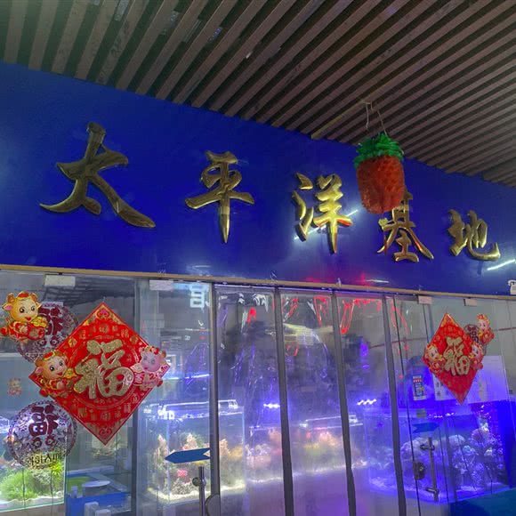 太平洋基地:天津城区河北区天泰路/榆关道附近