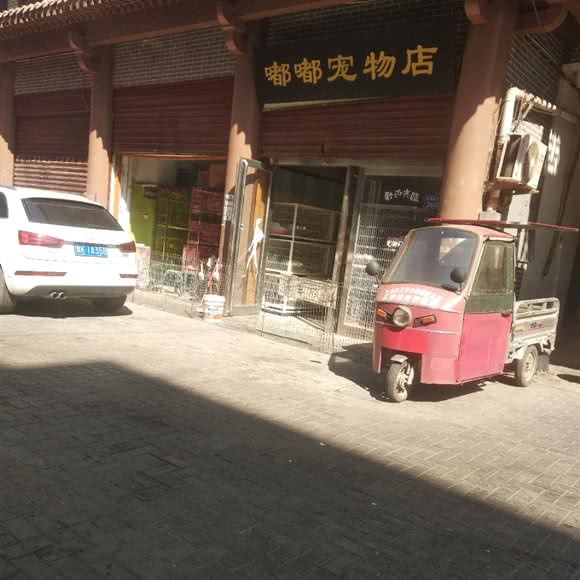 嘟嘟宠物店:许昌市魏都区春秋广场/丞相府附近