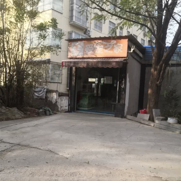 爱宠之家:许昌市魏都区文峰广场/毓秀路附近