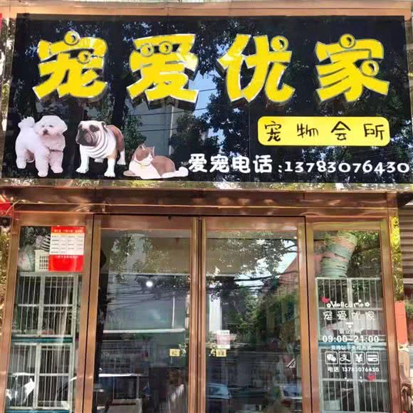 宠爱优家(友爱街店):漯河市源汇区新天地/丹尼斯附近