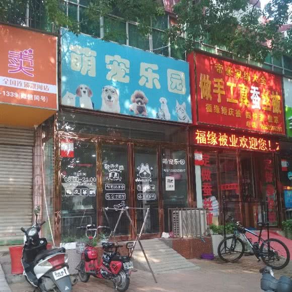 萌宠乐园:漯河市源汇区新天地/丹尼斯附近