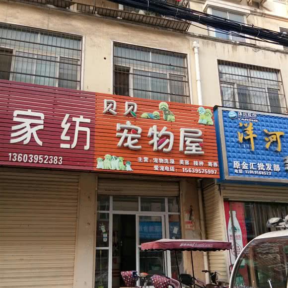 贝贝宠物屋:漯河市源汇区千盛百货/火车站附近