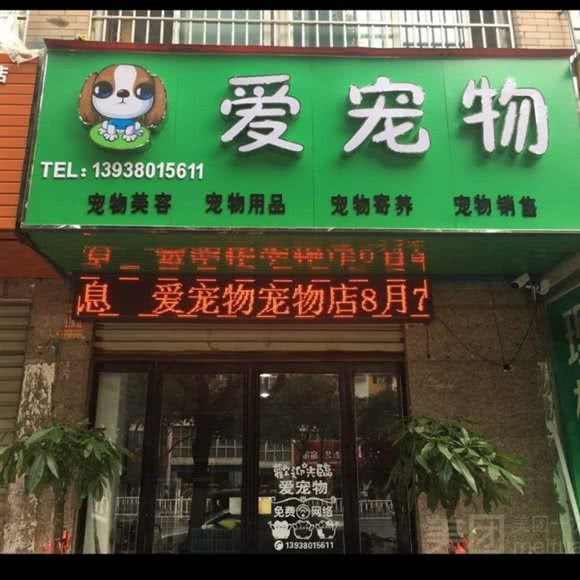 爱宠物:漯河市源汇区铁东附近
