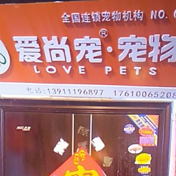 爱尚宠·宠物:漯河市源汇区柳江/贸易区附近