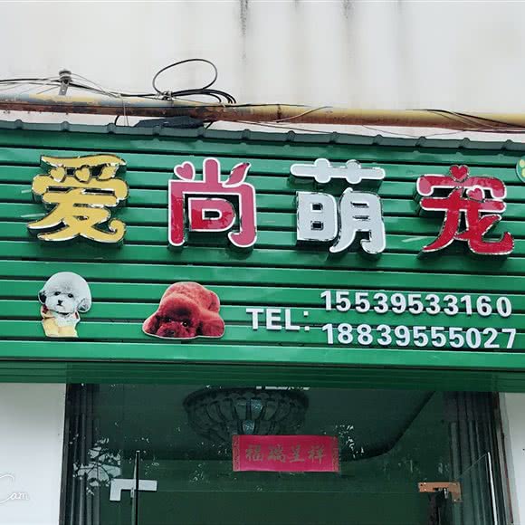 爱尚萌宠宠物会所:漯河市源汇区柳江/贸易区附近