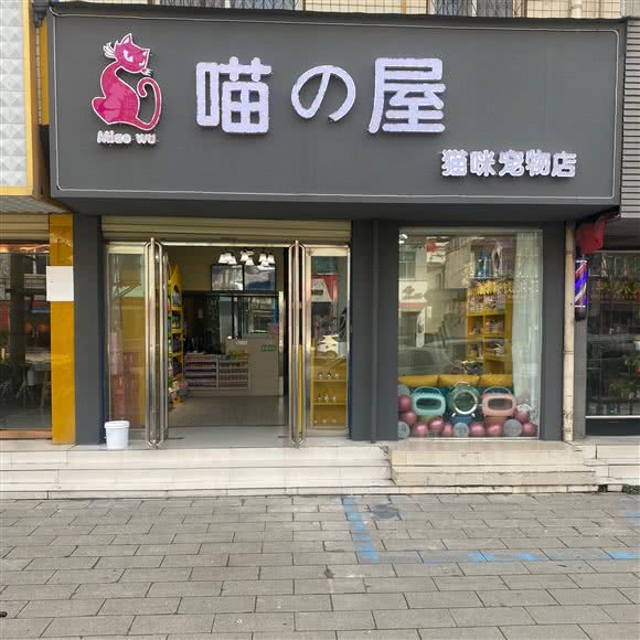 喵屋猫咪宠物店:漯河市源汇区漯河大学/汉江路附近