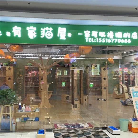 有家猫屋撸猫馆猫咖(大润发店):漯河市源汇区昌建广场/人民路附近