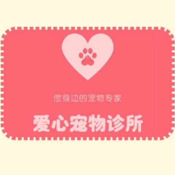 爱心宠物诊所:漯河市郾城区东外滩/黄河东路附近