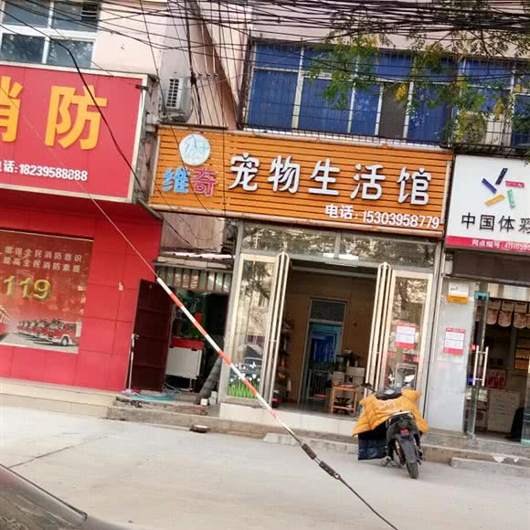 维奇宠物生活馆:漯河市郾城区舟山路附近
