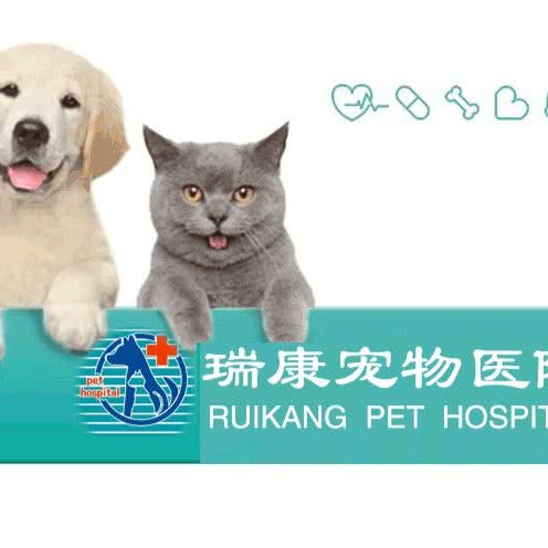 瑞康宠物医院:漯河市郾城区海河路/辽河路附近