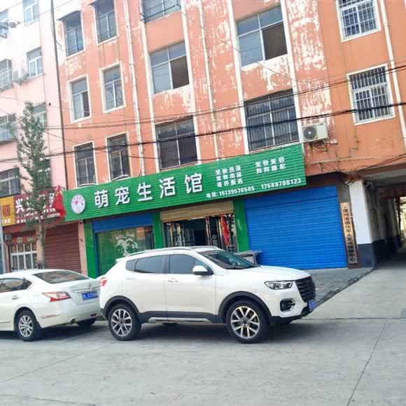萌宠生活馆(郾城店):漯河市郾城区钟楼广场/四中附近