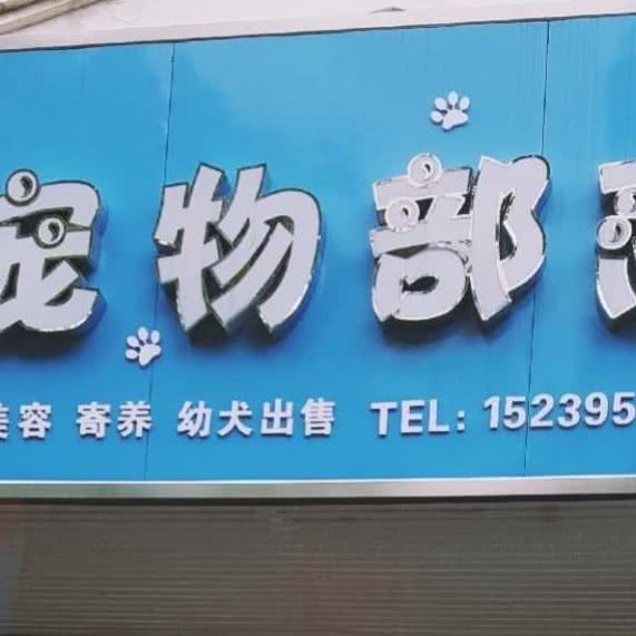 宠物部落:漯河市郾城区沙北丹尼斯/黄河广场附近