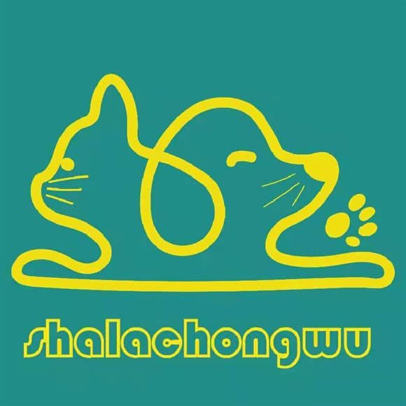 莎拉宠物:漯河市召陵区召陵政府/美食街附近