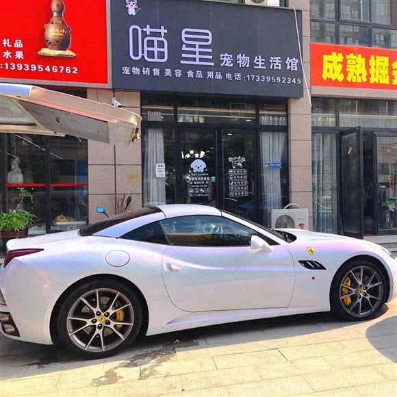 喵星宠物生活馆:漯河市召陵区召陵政府/美食街附近