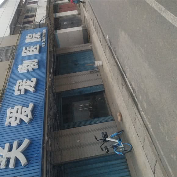 关爱宠物医院:漯河市召陵区人民医院/漓江路附近