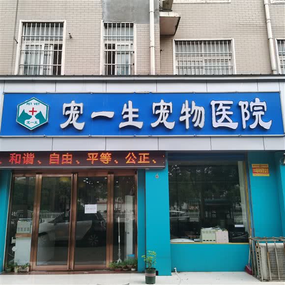 宠一生宠物医院:漯河市召陵区人民医院/漓江路附近