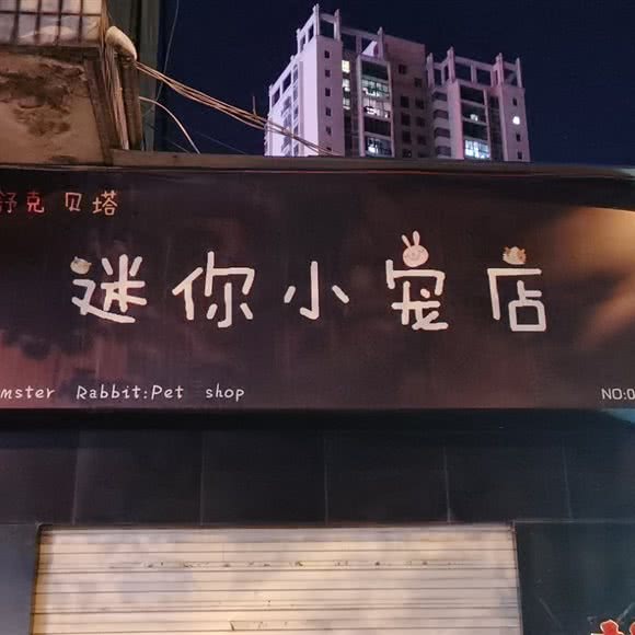 舒克贝塔迷你小宠店(NO:001店):三门峡市湖滨区湖滨广场附近