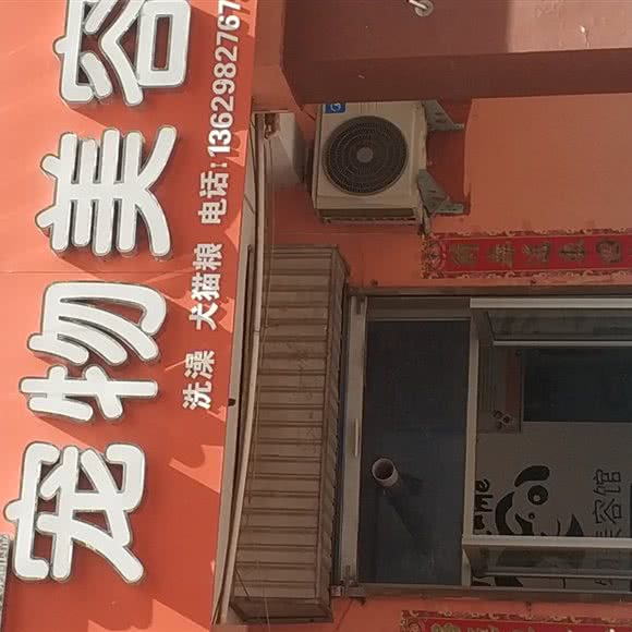宠物美容洗澡:三门峡市湖滨区电业局附近