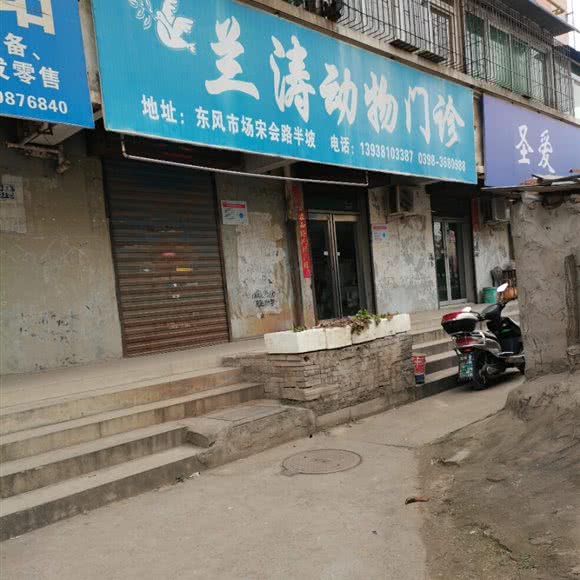 兰涛动物门诊:三门峡市湖滨区火车站附近