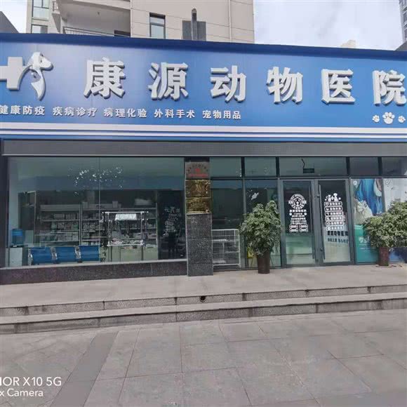 康源动物医院:三门峡市湖滨区义乌商贸城附近