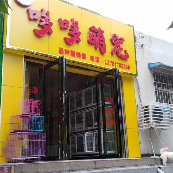 哆哆萌宠:南阳市宛城区独山大道附近