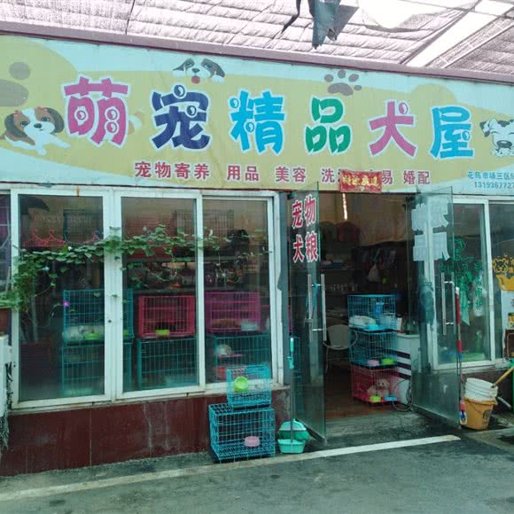 萌宠精品犬屋:南阳市宛城区独山大道附近