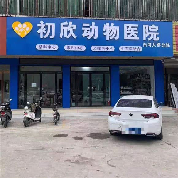 初欣动物医院(白河大桥店):南阳市宛城区独山大道附近