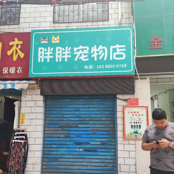 胖胖宠物店:南阳市宛城区大统/府衙附近