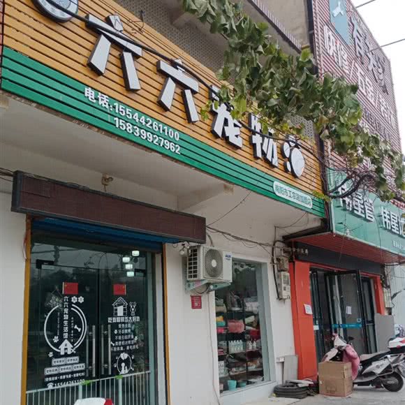 六六宠物(南阳市工农路加盟店):南阳市宛城区人民北路附近