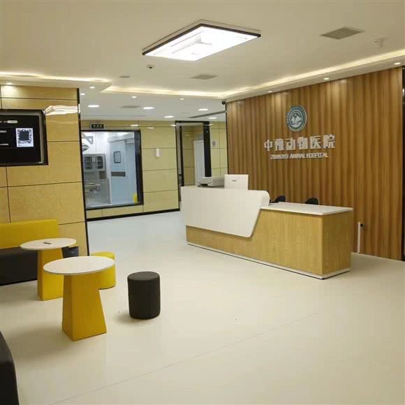 中豫动物医院:南阳市宛城区人民北路附近