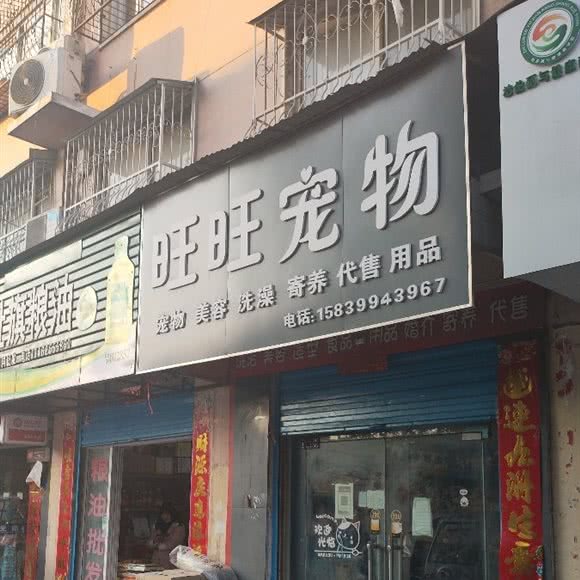 旺旺宠物狗:南阳市宛城区滨河中路附近