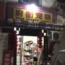 府衙狗狗:南阳市宛城区滨河中路附近