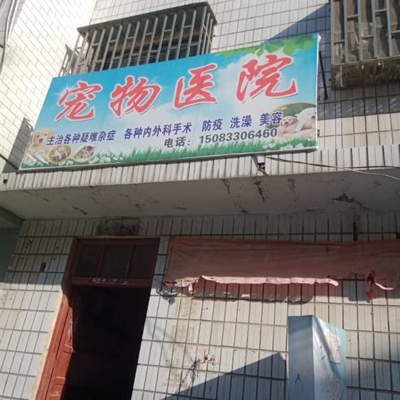 宠物医院:南阳市宛城区油田附近