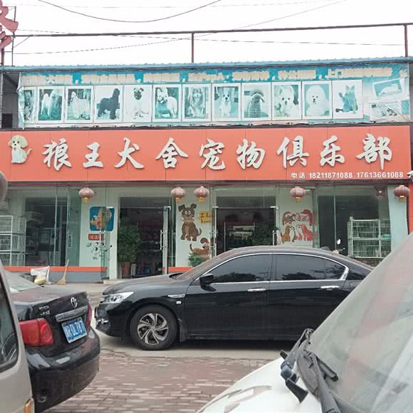 狼王犬舍宠物俱乐部:南阳市卧龙区师院附近