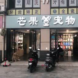 芒果宠物(经纬国际店):南阳市卧龙区师院附近