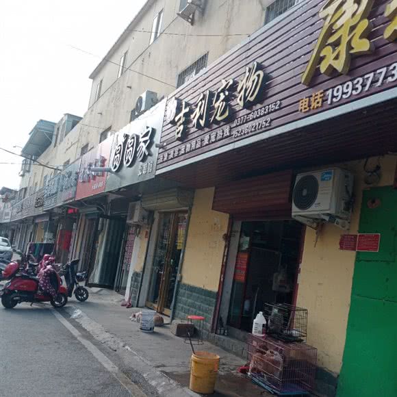 吉利宠物:南阳市卧龙区钢材市场附近