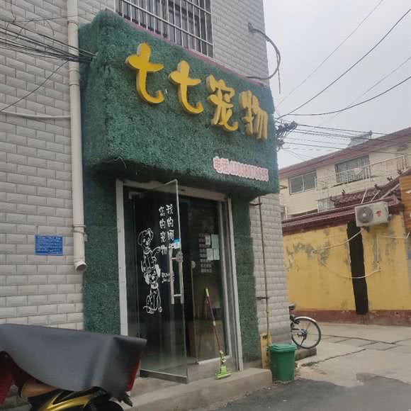 七七宠物:商丘市梁园区新师范学院附近