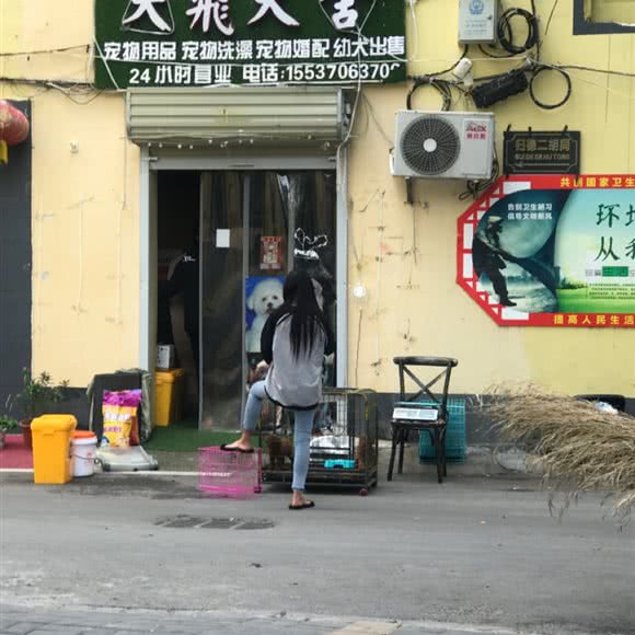大飞犬舍:商丘市梁园区火球商业中心附近