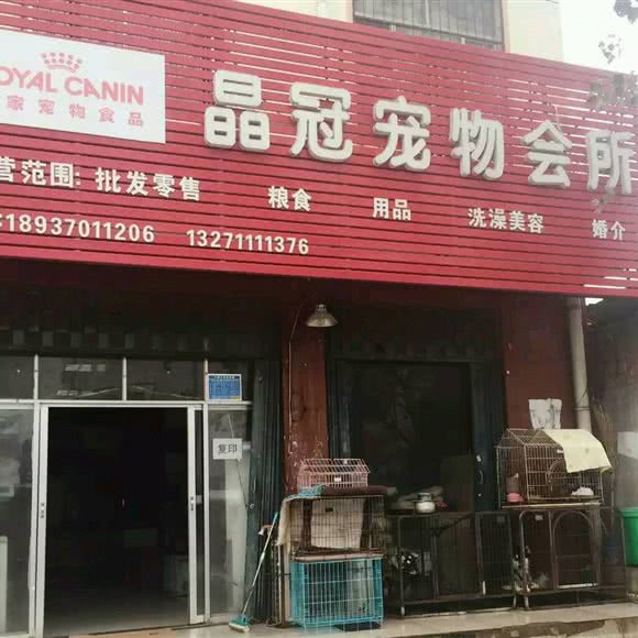 晶冠宠物会所:商丘市睢阳区第一人民医院附近