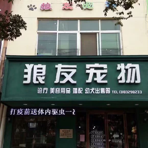 狼友宠物(香君路店):商丘市睢阳区第一人民医院附近