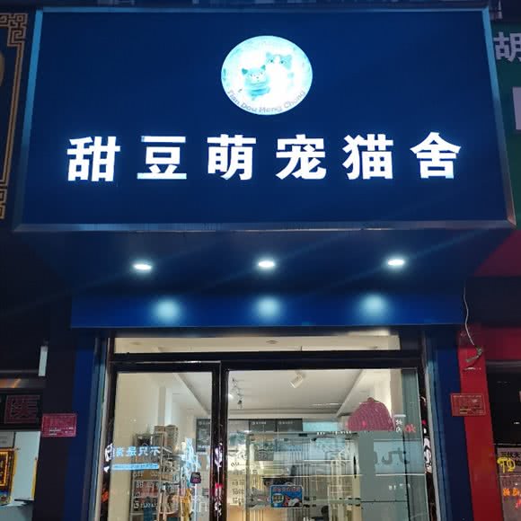 甜豆萌宠猫舍(申碑路店):信阳市浉河区体彩广场附近