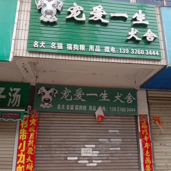 宠爱一生犬舍:信阳市浉河区和美广场/浉河公园附近