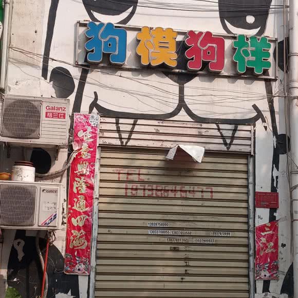 狗模狗样:信阳市浉河区小南门附近